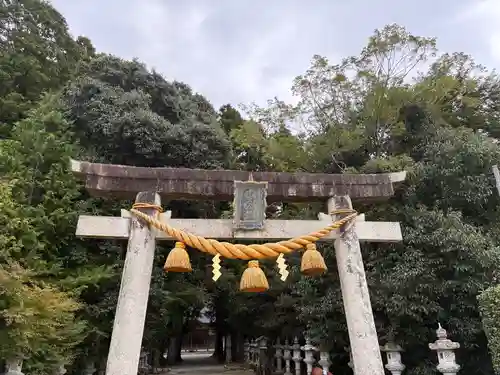 素盞嗚命神社の鳥居