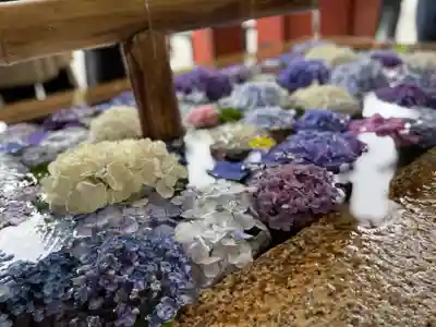 鶴岡八幡宮の手水舎