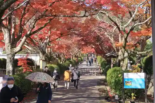 西教寺の建物その他