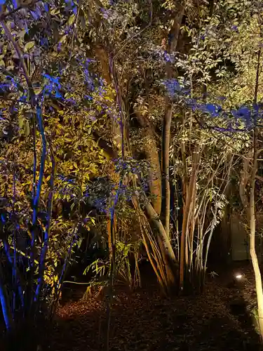 平安神宮(京都府)