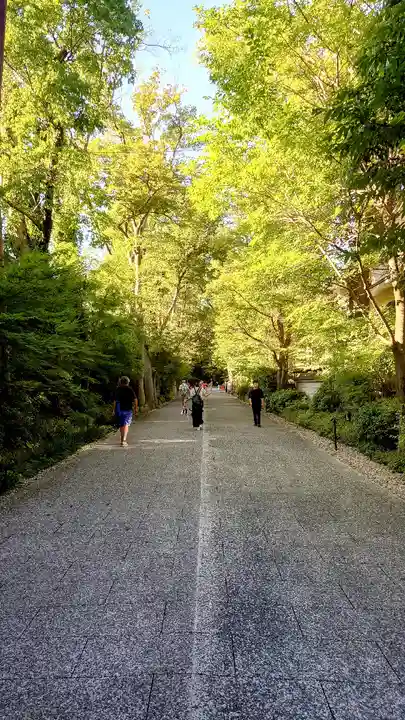 賀茂御祖神社(下鴨神社)(京都府)
