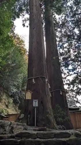 丹生川上神社（中社）(奈良県)