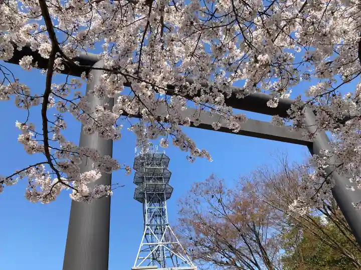 四柱神社の鳥居