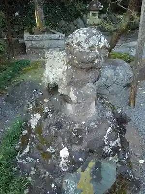 貫井神社の狛犬