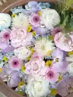 多賀神社の手水舎