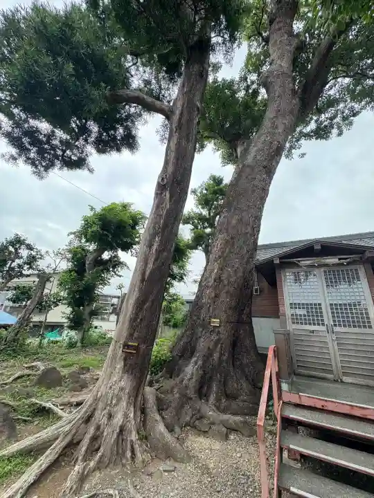 八幡神社(静岡県)