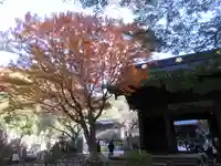 妙本寺の山門・神門