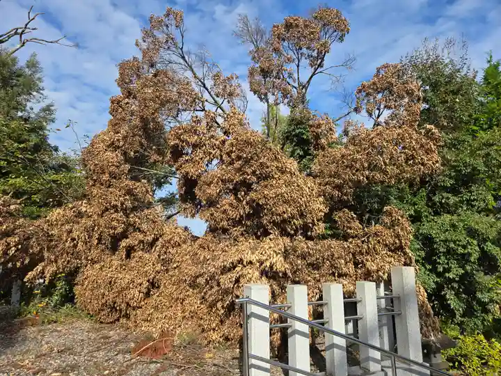 飯室乃神社(静岡県)