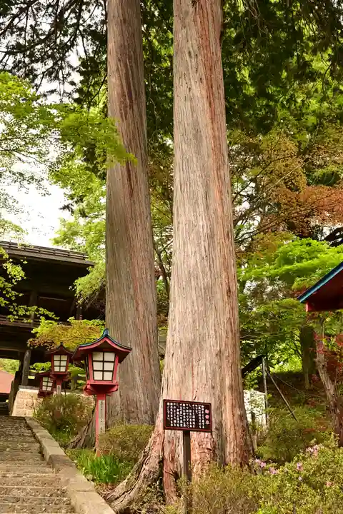 大善寺(山梨県)