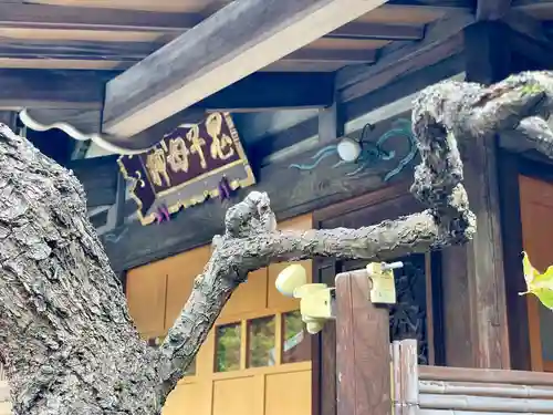 躰仙院(東京都)