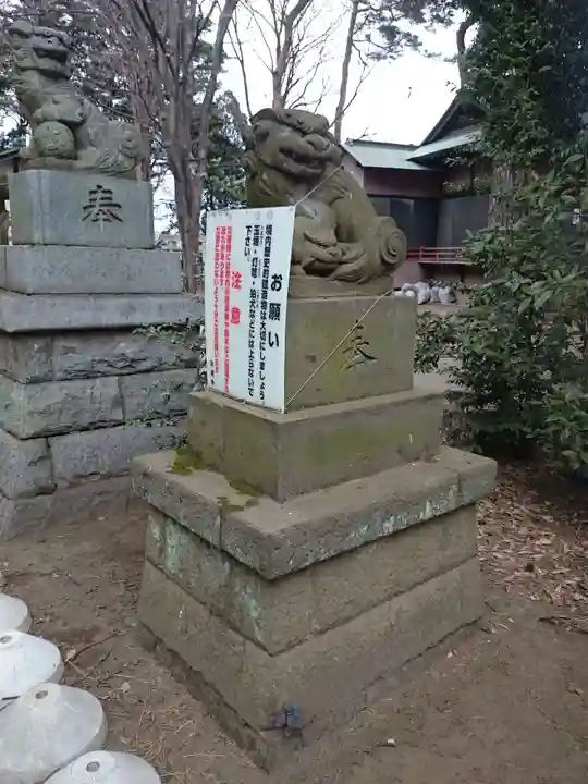 下高井戸八幡神社の狛犬