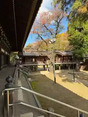 妙法寺(東京都)