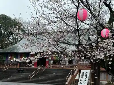 喜多院(埼玉県)