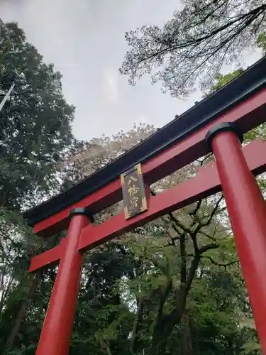 大宮八幡宮の鳥居