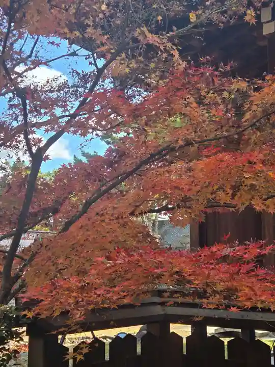 北野天満宮(京都府)