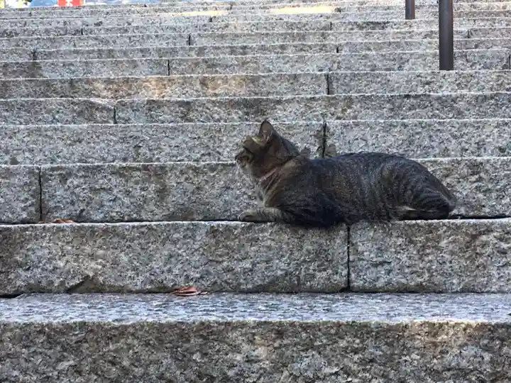 所澤神明社の動物