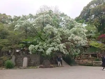深大寺(東京都)