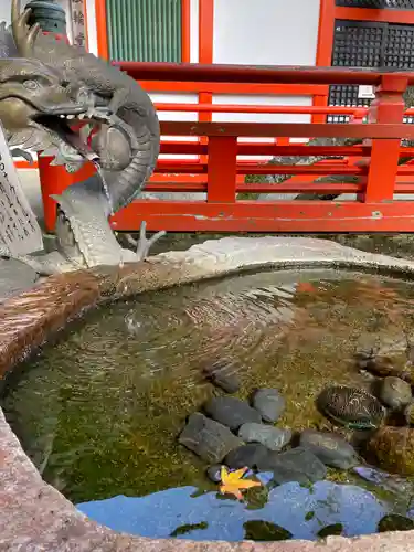 鞍馬寺(京都府)