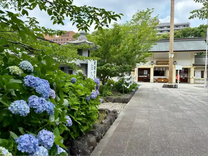 愛知縣護國神社(愛知県)