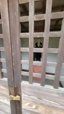 薬師寺(愛媛県)