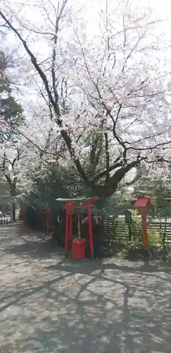 冠稲荷神社の自然