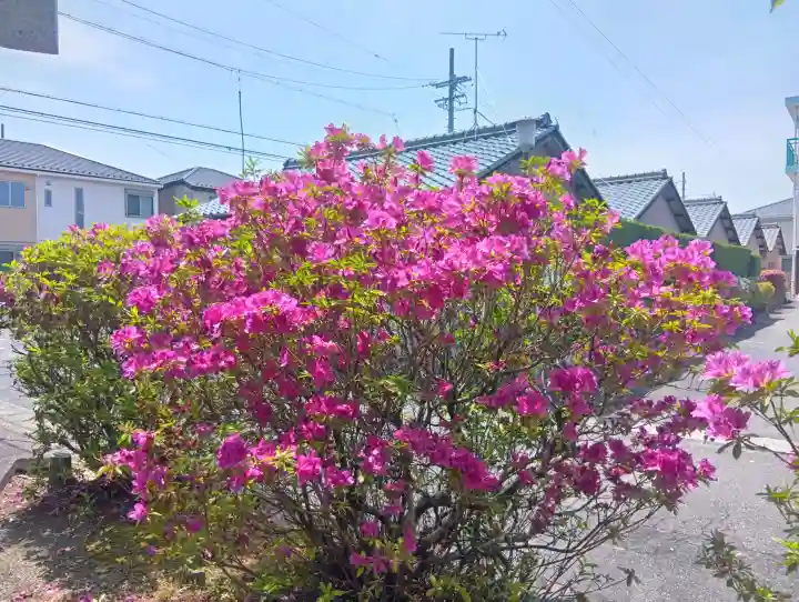 諏訪神社の{uncategorized: "未分類", other: "その他", undefined: "問題あり", building: "その他建物", grave: "お墓", sacred_gate: "鳥居", guardian: "狛犬", statue: "像", buddha: "仏像", history: "歴史", nature: "自然", garden: "庭園", animal: "動物", pagoda: "塔", temizu: "手水舎", mountain_gate: "山門・神門", sanctuary: "本殿・本堂", subordinate: "末社・摂社", art: "芸術", scenery: "景色", jizo: "地蔵", ema: "絵馬", goshuin: "御朱印", omikuji: "おみくじ", items: "授与品その他", amulet: "お守り", goshuincho: "御朱印帳", eats: "食事", festival: "お祭り", votive_dance: "神楽", shichigosan: "七五三参", wedding: "結婚式", experience: "体験その他", initially: "初詣", around: "周辺", anti_infection: "感染症対策"}