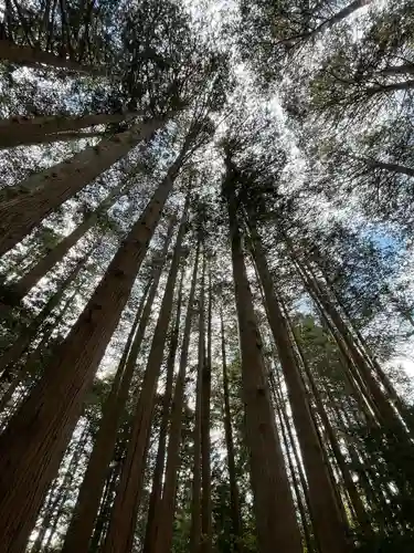 北海道神宮の自然