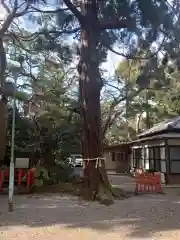 息栖神社の自然