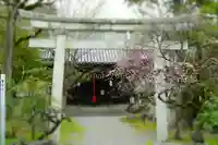 長浜八幡宮の鳥居