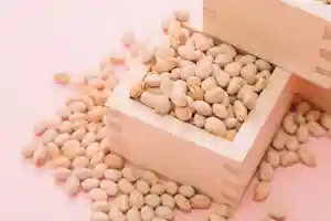 節分祭って？由来や2025年芸能人が豆まきをする神社・お寺を紹介！