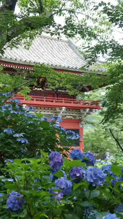 楽法寺(雨引観音)(茨城県)