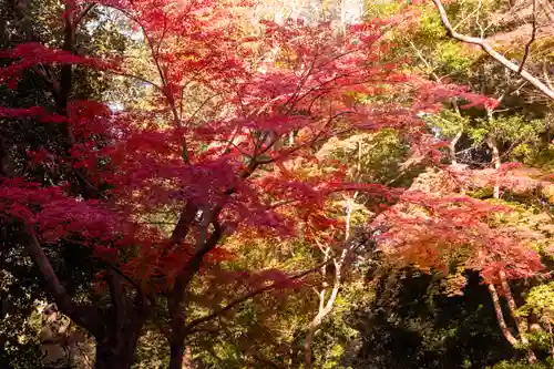 賀茂御祖神社（下鴨神社）(京都府)