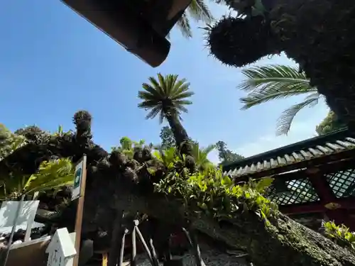 久能山東照宮(静岡県)