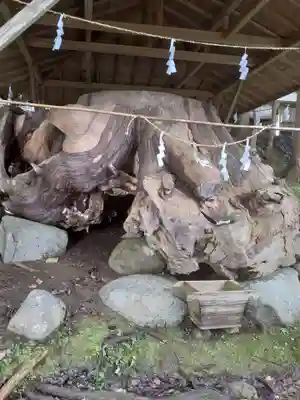 丹内山神社の自然