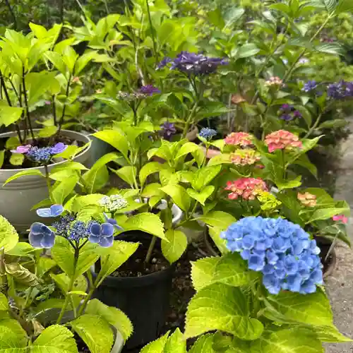 豊景神社(福島県)