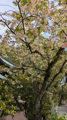 白峯神宮(京都府)