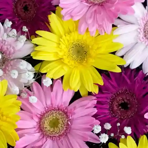 帯廣神社の手水舎