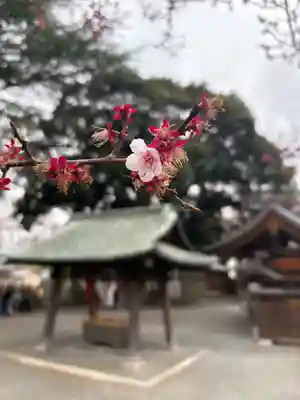 桐生天満宮(群馬県)