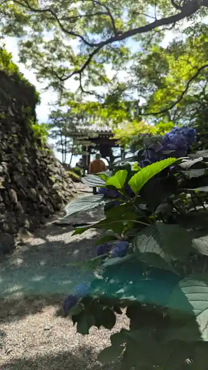 善峯寺(京都府)