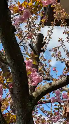 本昌寺(京都府)