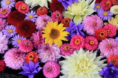 大鏑神社の手水舎