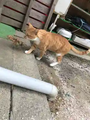 縣主神社(岡山県)