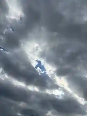 白山社（成岩白山神社）(愛知県)