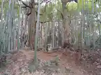 松尾神社の周辺