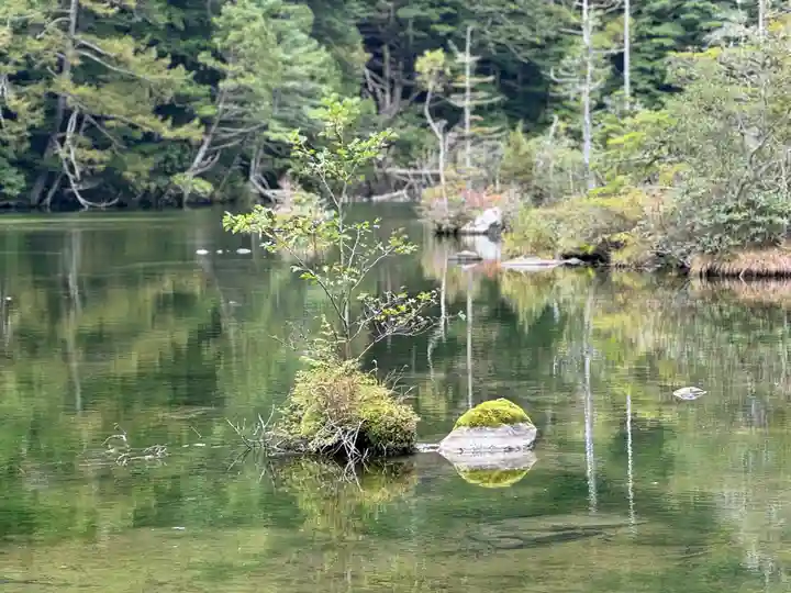穂高神社奥宮の自然