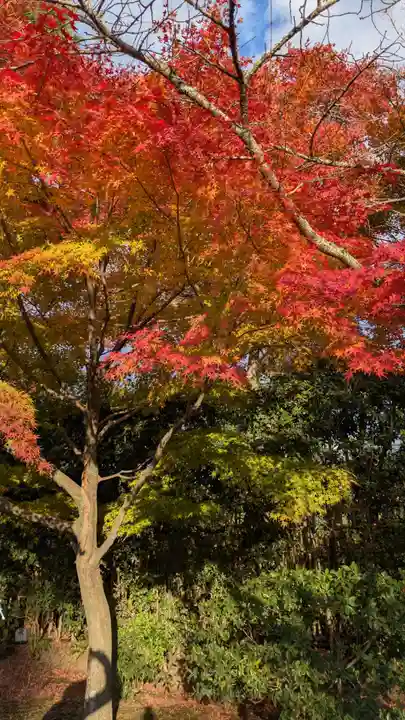 平等院(京都府)