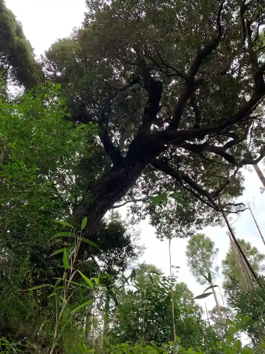秋葉神社のその他建物