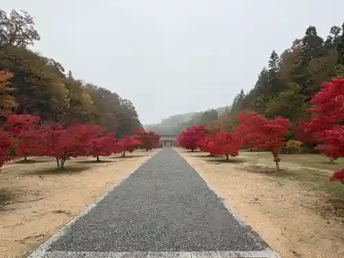 光信寺(広島県)