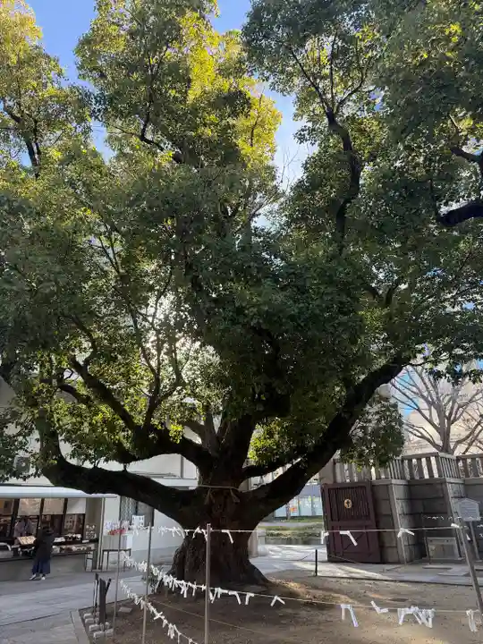 難波神社(大阪府)