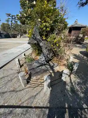 来迎寺(三重県)